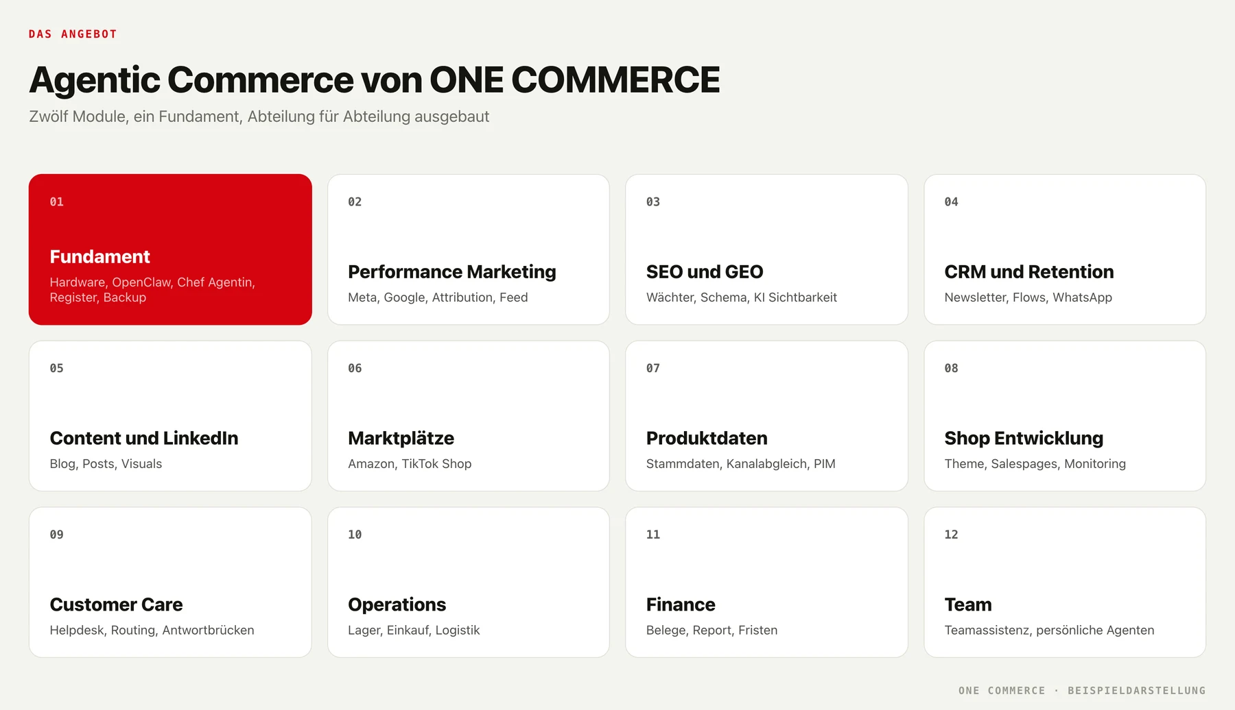 Die Module des Angebots: Fundament, Performance Marketing, SEO und GEO, CRM, Content, Marktplätze, Produktdaten, Shop, Customer Care, Operations, Finance, Team