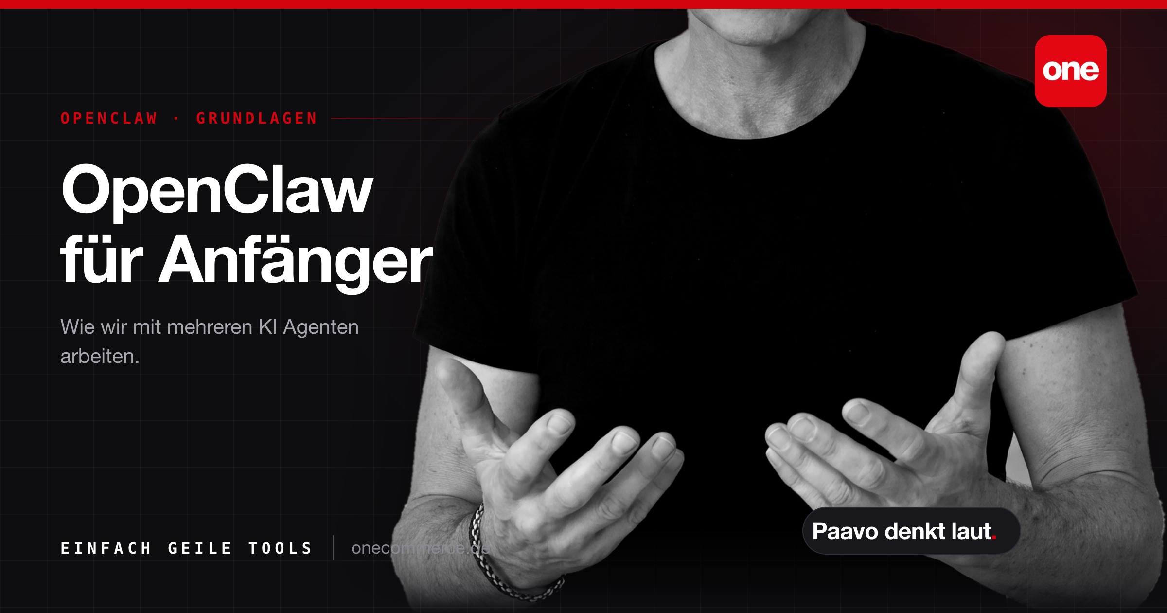 Sharing Bild zum Beitrag OpenClaw für Anfänger: wie wir mit KI Agenten arbeiten